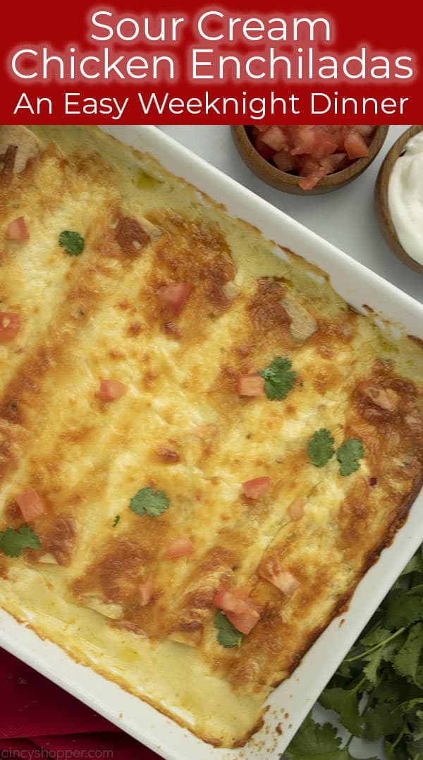 baked enchiladas in a casserole dish (titled photo)