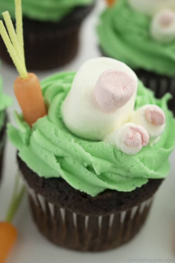 Cupcakes with Bunny Butt