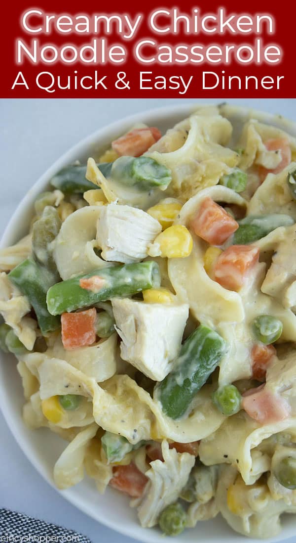 chicken noodle casserole with vegetables on a plate