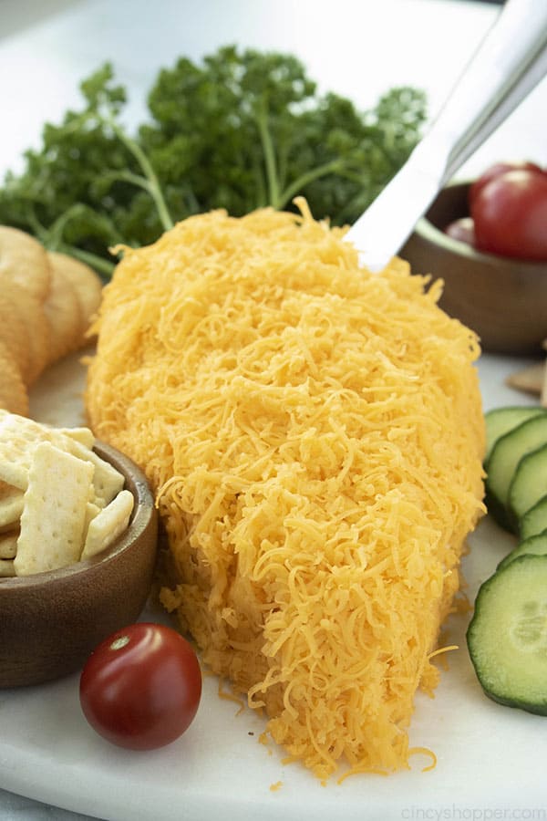 Carrot Cheese ball with cheese knife