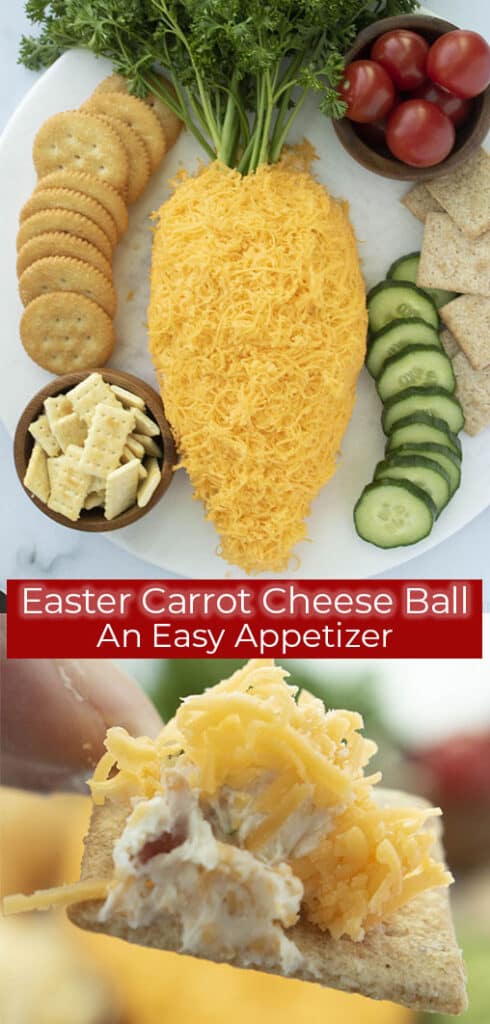 Easter Carrot Cheese Ball - CincyShopper