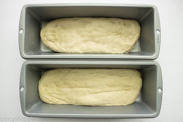 bread dough in 2 pans, ready to bake