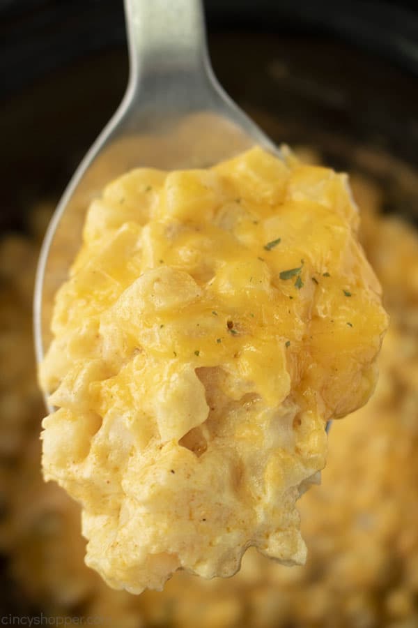 Spoon with gooey cheese potatoes