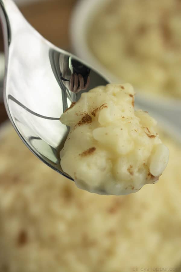 Closeup of Rice pudding on a spoon.