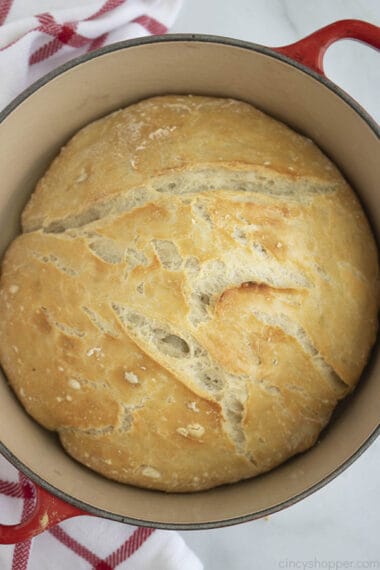 Dutch Oven Bread No Kneading Required Cincyshopper 8667