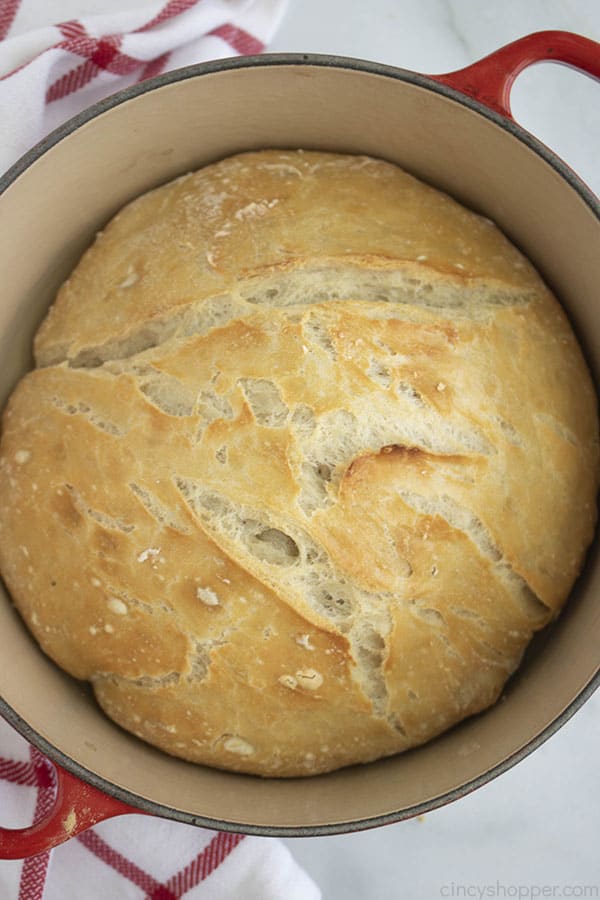 Basic No Knead Bread in a Dutch Oven