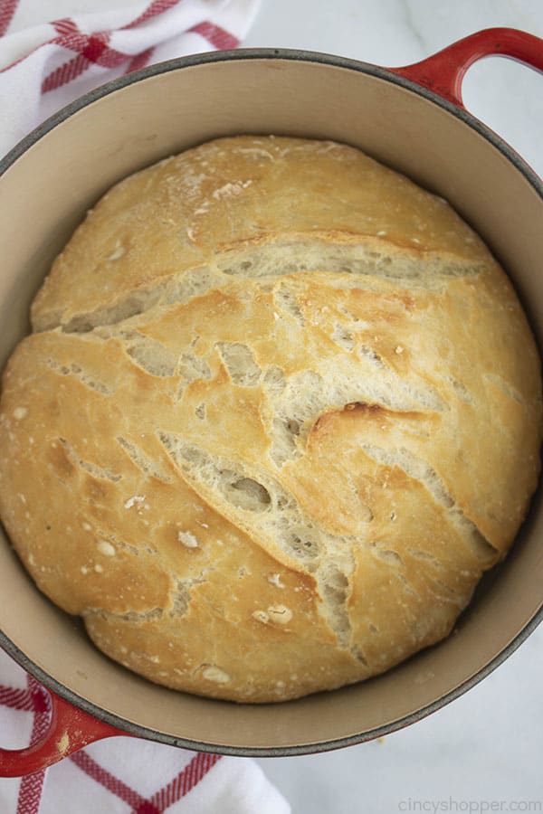 Dutch Oven Bread No Kneading Required!