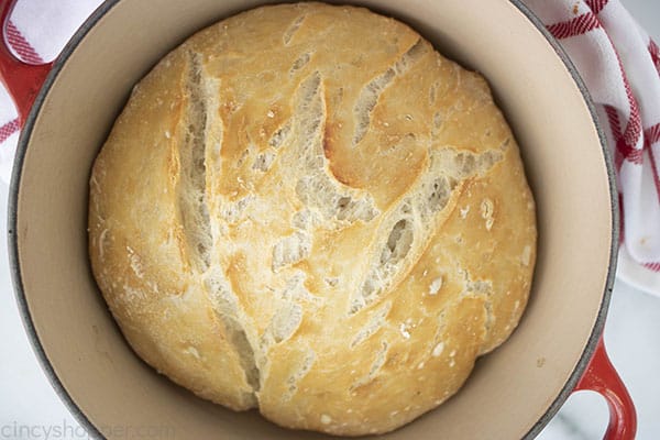 Crusty Homemade Dutch Oven Bread in pan