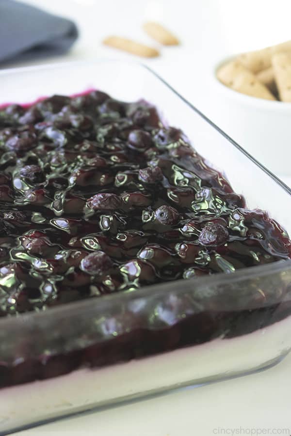 Long shot of cheesecake dip with blueberry topping on white background and graham sticks on side