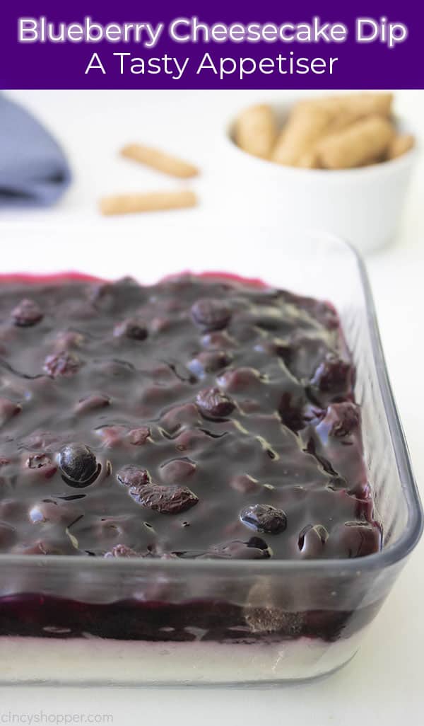Long pin with cheesecake dip topped with blueberries text on image title and A Tasty Appetizer
