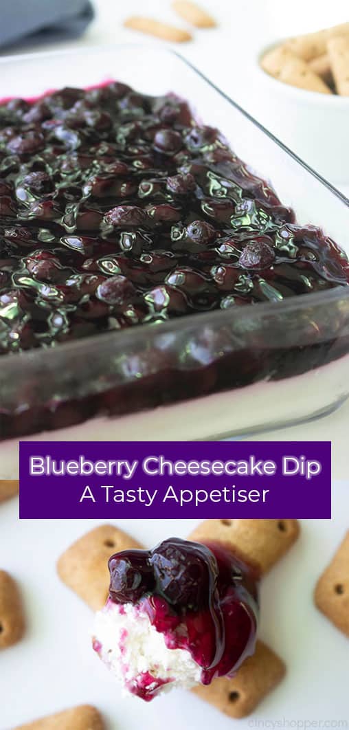 Long Pin with text on image Blueberry Cheesecake Dip - A tasty appetizer