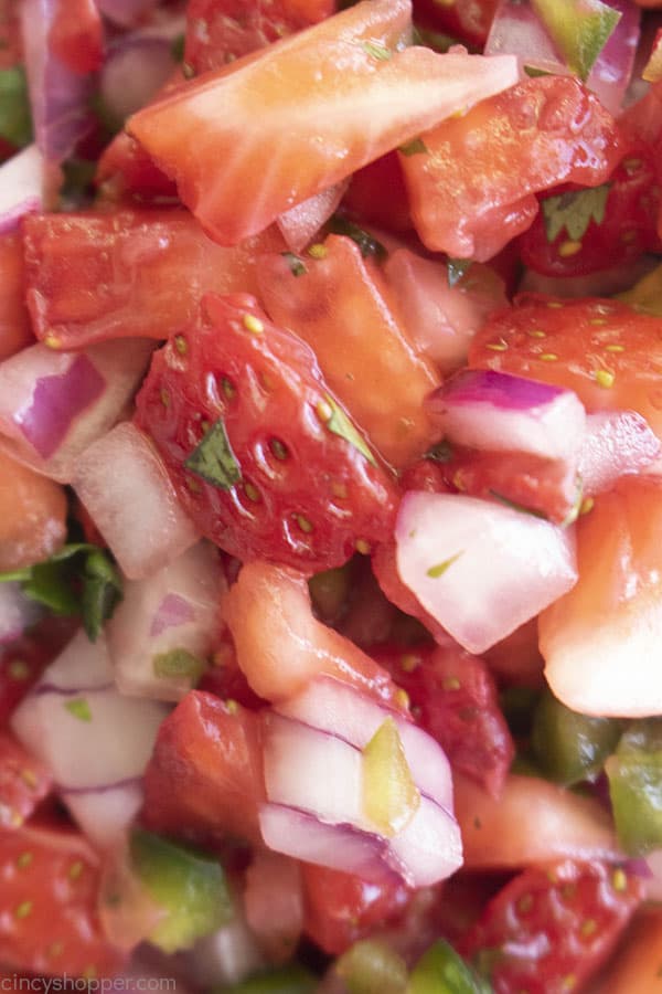 Detail shot of strawberries, onions, and jalapenos in homemade salsa