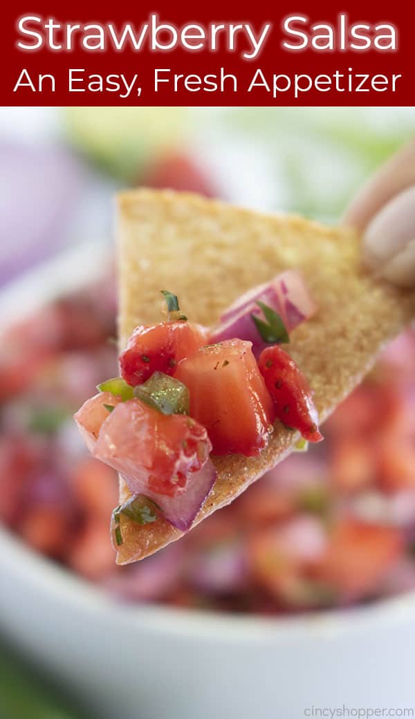 Long Pin, Homemade Salsa, Text on Image: Easy, Fresh Appetizer