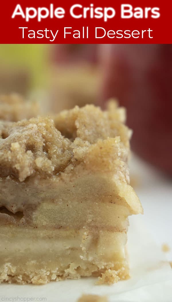 Long Pin with a close up shot of the Apple Crisp Bar with a text in a red banner that says Apple crisp Bars, Tasty Fall Dessert 