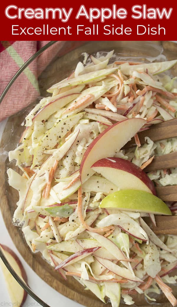 Long Pin with Long pin with red banner text on image Creamy Apple Slaw Excellent Fall Side Dish