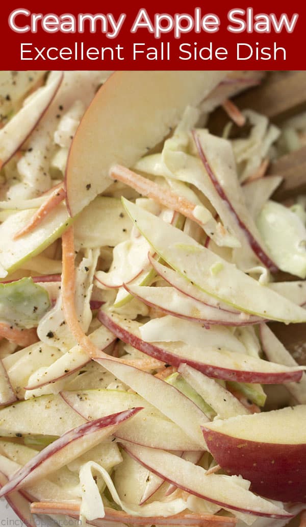 Long Pin Long pin with red banner text on image Creamy Apple Slaw Excellent Fall Side Dish