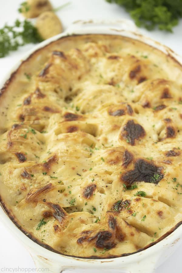 Au Gratin Potatoes in a white baking dish.