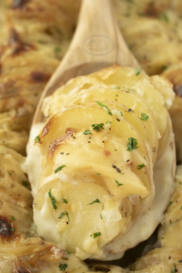 Au Gratin Potatoes on a wooden spoon.