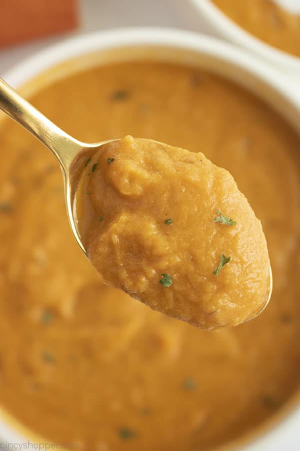 Spoon with soup over the top of bowl