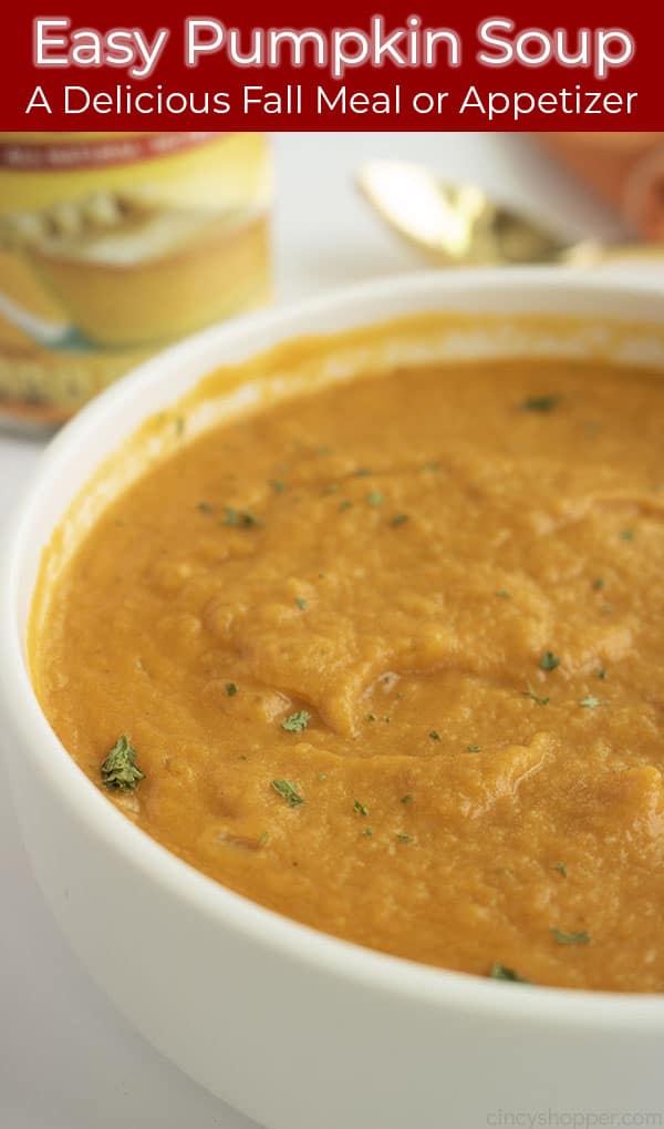 Long Pin with banner text Easy Pumpkin Soup - A Delicious Fall Meal or Appetizer