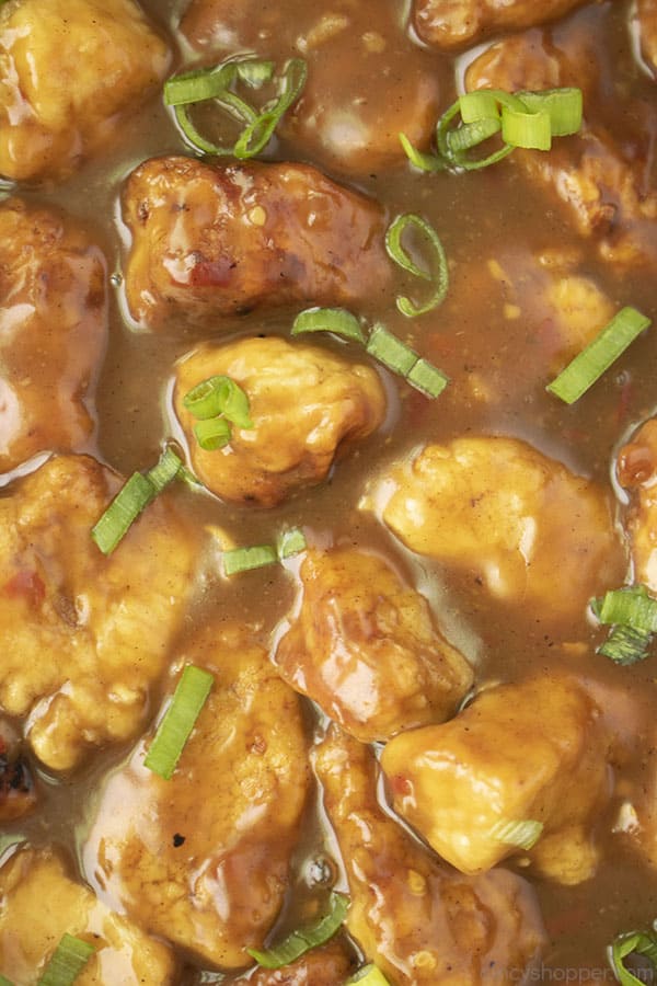 Closeup of chicken in sauce with green onions