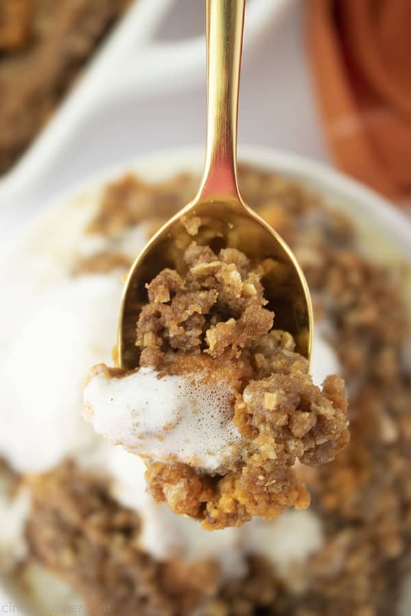 Pumpkin crisp on a gold spoon closeup