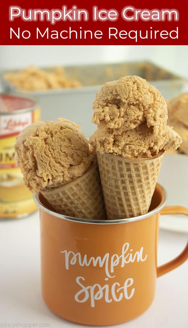 https://cincyshopper.com/wp-content/uploads/2020/08/Pumpkin-Ice-Cream-Additional.jpg