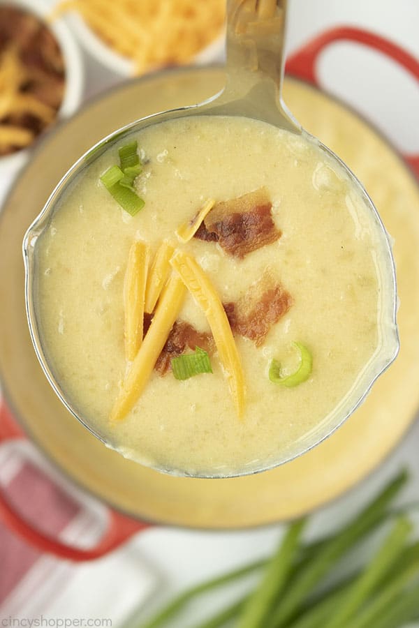 Ladle with soup topped with cheese, bacon and onion