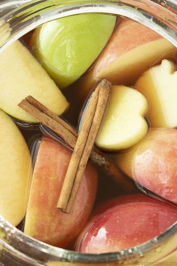 Overhead of apple cider with apples and cinnamon sticks