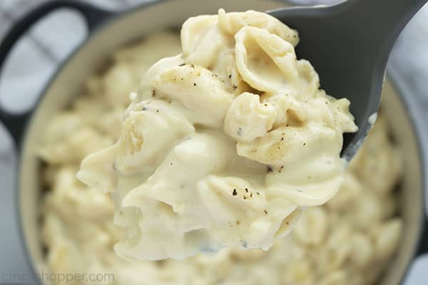 Spoon with creamy mac and cheese