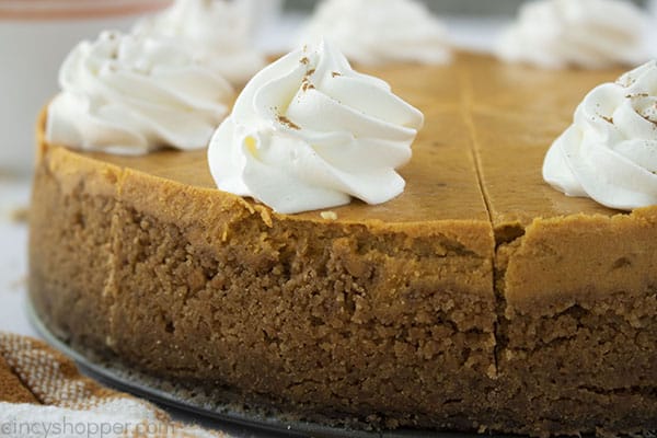 Side view of pumpkin cheesecake crust