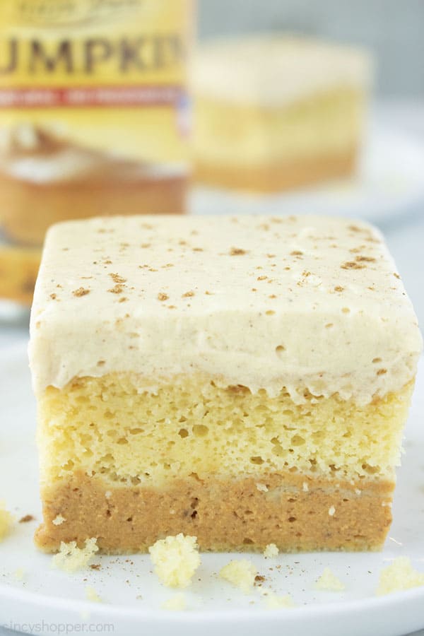 Pumpkin Magic Cake on a white plate.