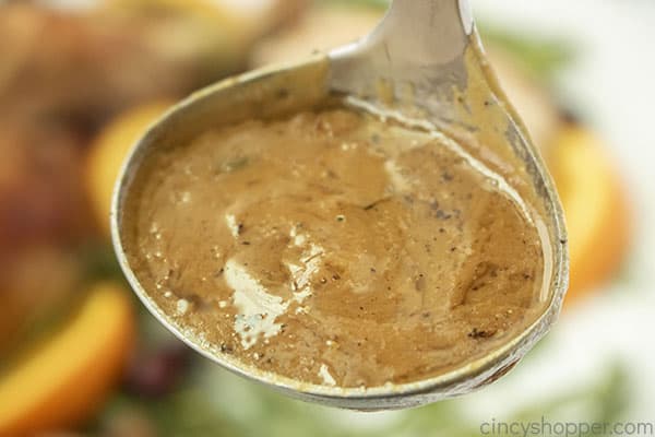 Turkey Gravy in a ladle 