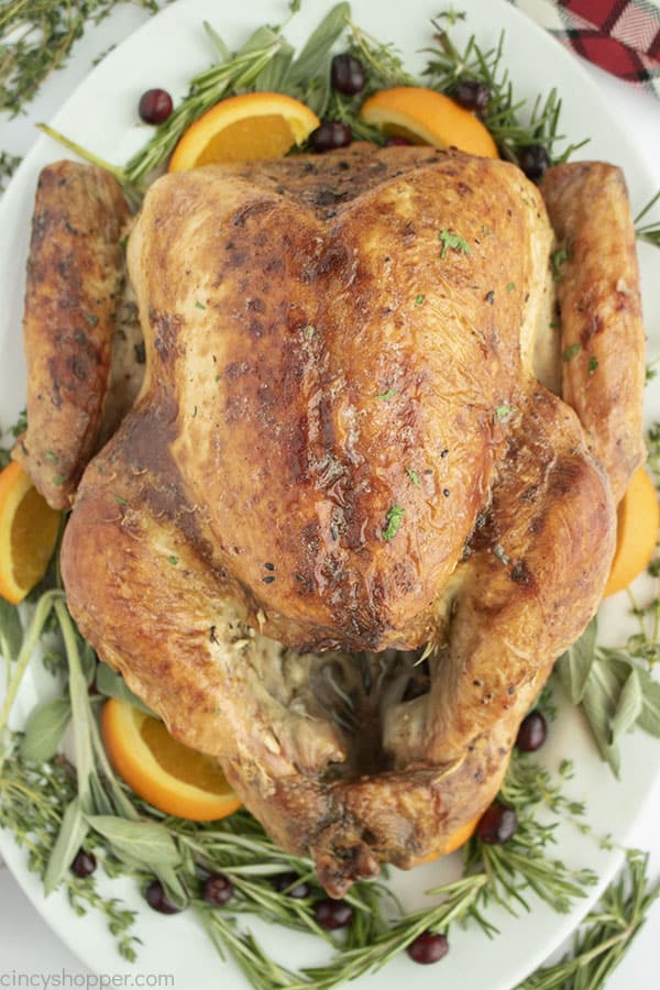Roasted Thanksgiving Turkey on a platter