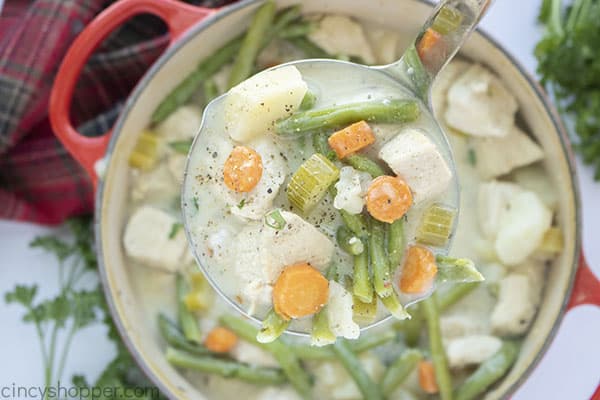 Chicken stew in a ladle 