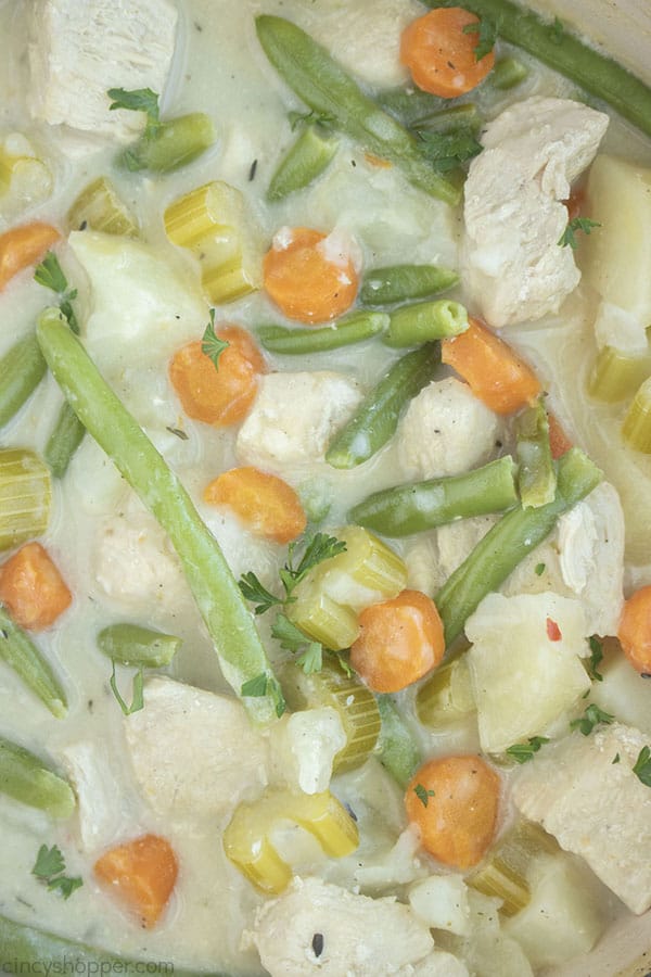 Closeup of Chicken Stew