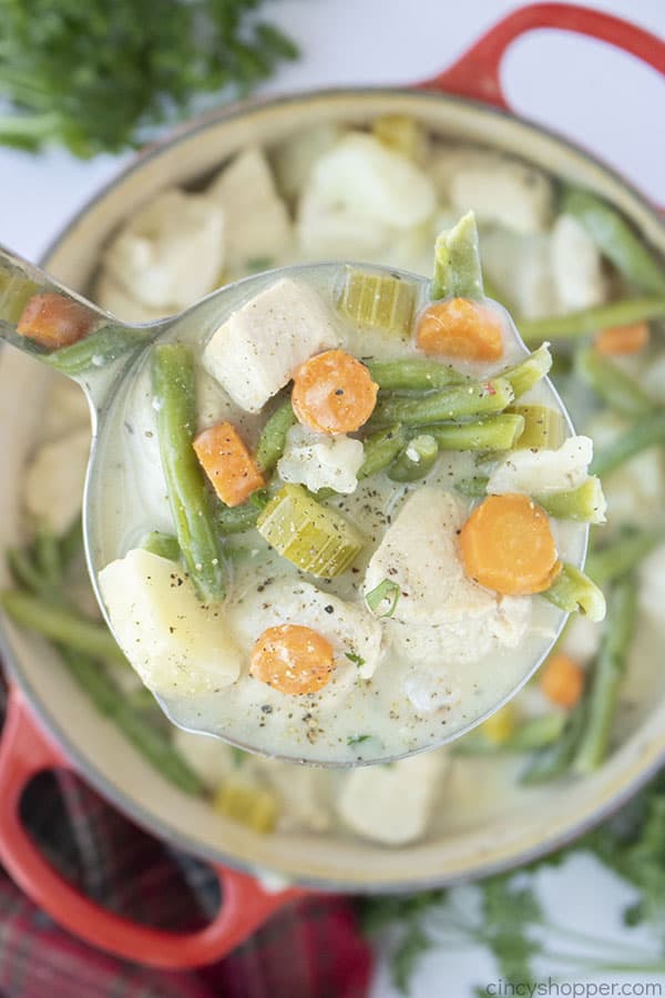 Ladle of Chicken Stew 