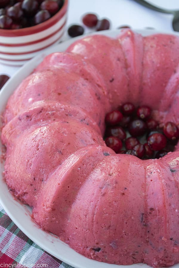 Cranberry Mousse Jello Mold on a plate