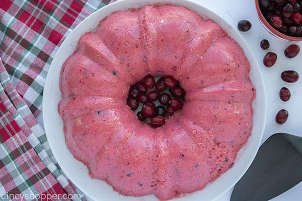 Finished and chilled Overhead Cranberry Jell-O Mousse Mold