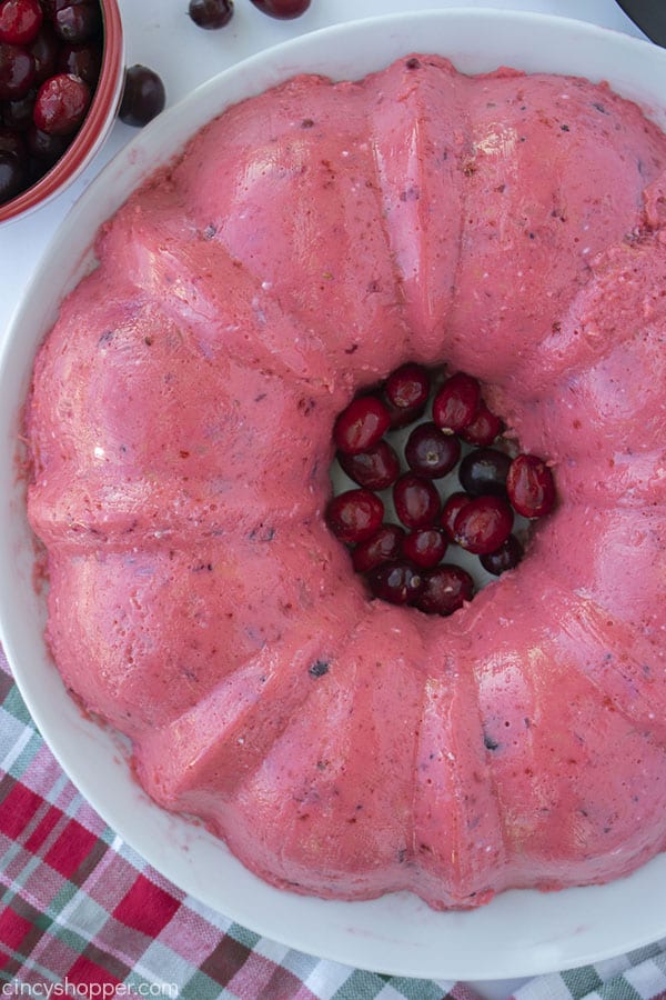 Overhead Cranberry Jello Mousse Mold