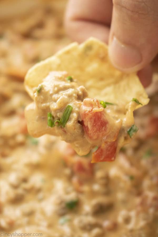Rotel Dip on a chip