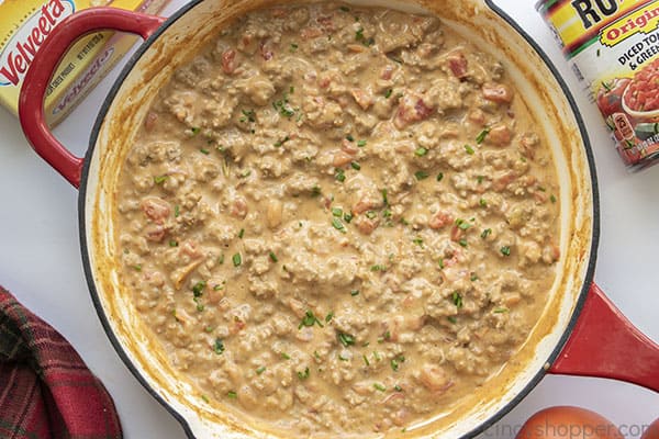 Hot Rotel Dip in a pan