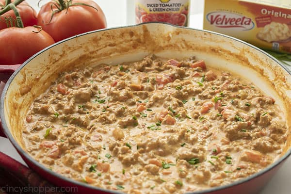 Warm Rotel Dip in a pan