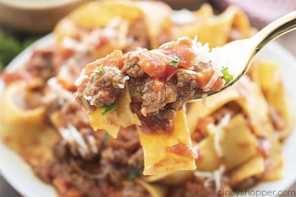 Homemade pasta sauce on a fork