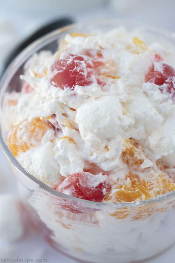 Closeup of Ambrosia Fruit Salad