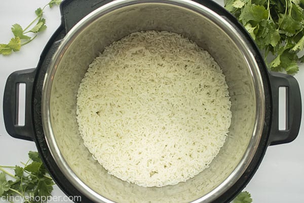 Easy white rice inside of Instant Pot