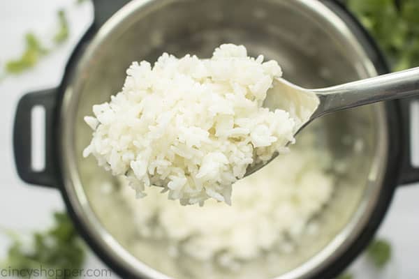 Pressure cooked white rice on a spoon