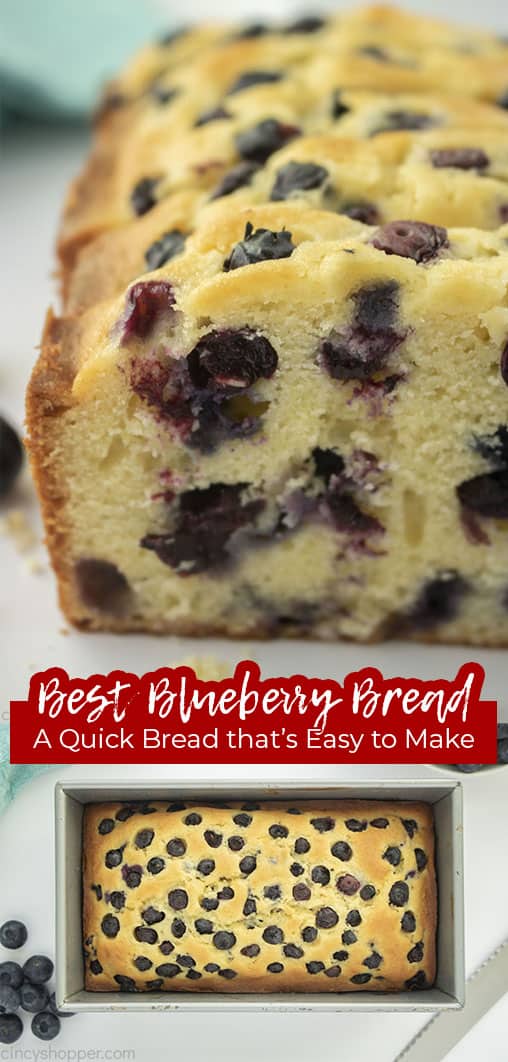 Long Pin collage with text Best Blueberry Bread A Quick Bread that's Easy to Make