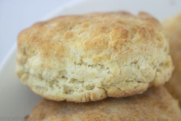 Closeup of Flakey Biscuit