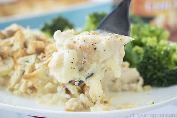 Creamy chicken casserole with swiss on a fork